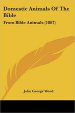 Domestic Animals Of The Bible