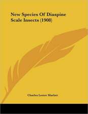 New Species Of Diaspine Scale Insects (1908)