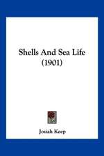 Shells And Sea Life (1901)