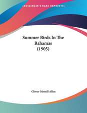 Summer Birds In The Bahamas (1905)