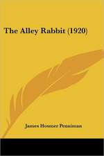 The Alley Rabbit (1920)