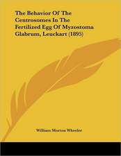 The Behavior Of The Centrosomes In The Fertilized Egg Of Myzostoma Glabrum, Leuckart (1895)