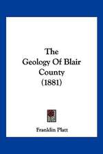 The Geology Of Blair County (1881)