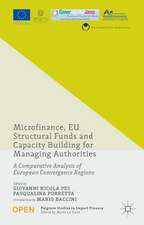 Microfinance, EU Structural Funds and Capacity Building for Managing Authorities: A Comparative Analysis of European Convergence Regions