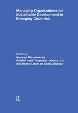 Managing Organizations for Sustainable Development in Emerging Countries