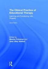 The Clinical Practice of Educational Therapy: Learning and Functioning with Diversity