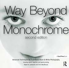 Way Beyond Monochrome 2e: Advanced Techniques for Traditional Black & White Photography including digital negatives and hybrid printing