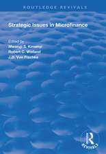 Strategic Issues in Microfinance