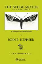 Sedge Moths of North America, The (Lepidoptera: Glyphipterigidae)