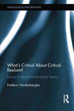 What's Critical about Critical Realism?: Essays in Reconstructive Social Theory