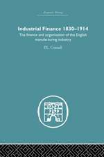 Industrial Finance, 1830-1914: The Finance and Organization of English Manufacturing Industry