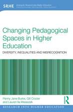 Changing Pedagogical Spaces in Higher Education: Diversity, inequalities and misrecognition