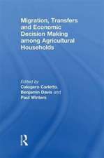 Migration, Transfers and Economic Decision Making among Agricultural Households