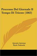 Processo Del Giornale Il Tempo Di Trieste (1863)