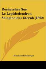 Recherches Sur Le Lepidodendron Selaginoides Sternb (1892)