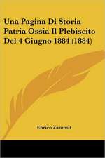 Una Pagina Di Storia Patria Ossia Il Plebiscito Del 4 Giugno 1884 (1884)