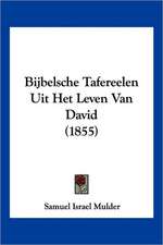 Bijbelsche Tafereelen Uit Het Leven Van David (1855)