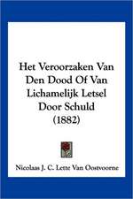 Het Veroorzaken Van Den Dood Of Van Lichamelijk Letsel Door Schuld (1882)