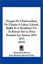 Voyages De L'Embouchure De L'Indus A Lahor, Caboul, Balkh Et A Boukhara V3