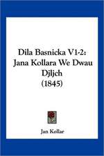 Dila Basnicka V1-2