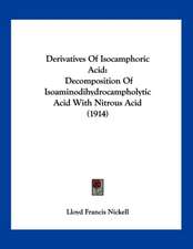 Derivatives Of Isocamphoric Acid