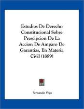 Estudios De Derecho Constitucional Sobre Prescipcion De La Accion De Amparo De Garantias, En Materia Civil (1889)