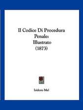 Il Codice Di Procedura Penale