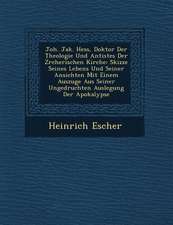 Joh. Jak. Hess, Doktor Der Theologie Und Antistes Der Z Rcherischen Kirche: Skizze Seines Lebens Und Seiner Ansichten Mit Einem Auszuge Aus Seiner Ung