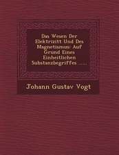 Das Wesen Der Elektrizit T Und Des Magnetismus: Auf Grund Eines Einheitlichen Substanzbegriffes ......