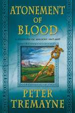 Atonement of Blood: A Mystery of Ancient Ireland