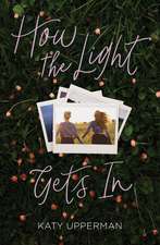 How the Light Gets in