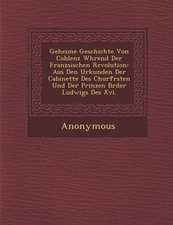 Geheime Geschichte Von Coblenz W Hrend Der Franz Sischen Revolution: Aus Den Urkunden Der Cabinette Des Churf Rsten Und Der Prinzen Br Der Ludwigs Des