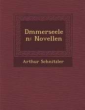 D Mmerseelen: Novellen