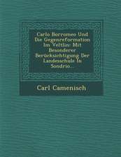 Carlo Borromeo Und Die Gegenreformation Im Veltlin: Mit Besonderer Berucksichtigung Der Landesschule in Sondrio...