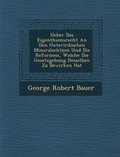 Ueber Das Eigenthumsrecht an Den Unterirdischen Mineralsch�tzen Und Die Reformen, Welche Die Gesetzgebung Desselben Zu Bewirken Hat