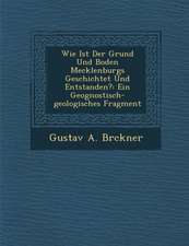 Wie Ist Der Grund Und Boden Mecklenburgs Geschichtet Und Entstanden?: Ein Geognostisch-Geologisches Fragment