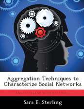 Aggregation Techniques to Characterize Social Networks