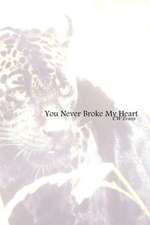 You Never Broke My Heart