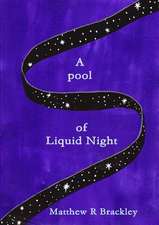 A Pool of Liquid Night