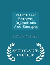 Patent Law Reform: Injunctions And Damages - Scholar's Choice Edition