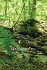 Moss and Fern