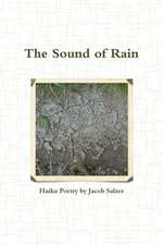 The Sound of Rain