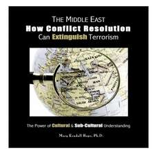 The Middle East: The Power of Cultural & Sub-Cultural Understanding