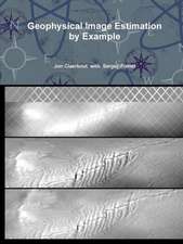 Geophysical Image Estimation by Example