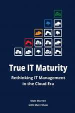 True It Maturity: Rethinking It Management in the Cloud Era