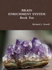 Brain Enrichment System Book Ten