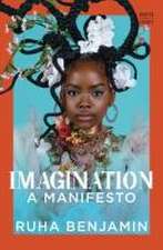 Imagination – A Manifesto