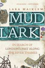 Mudlark – In Search of London`s Past Along the River Thames