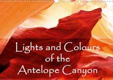 Lights and Colours of the Antelope Canyon (Wall Calendar 2020 DIN A3 Landscape)