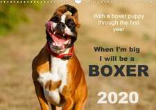 When I'm big I will be a Boxer / UK-Version (Wall Calendar 2020 DIN A3 Landscape)